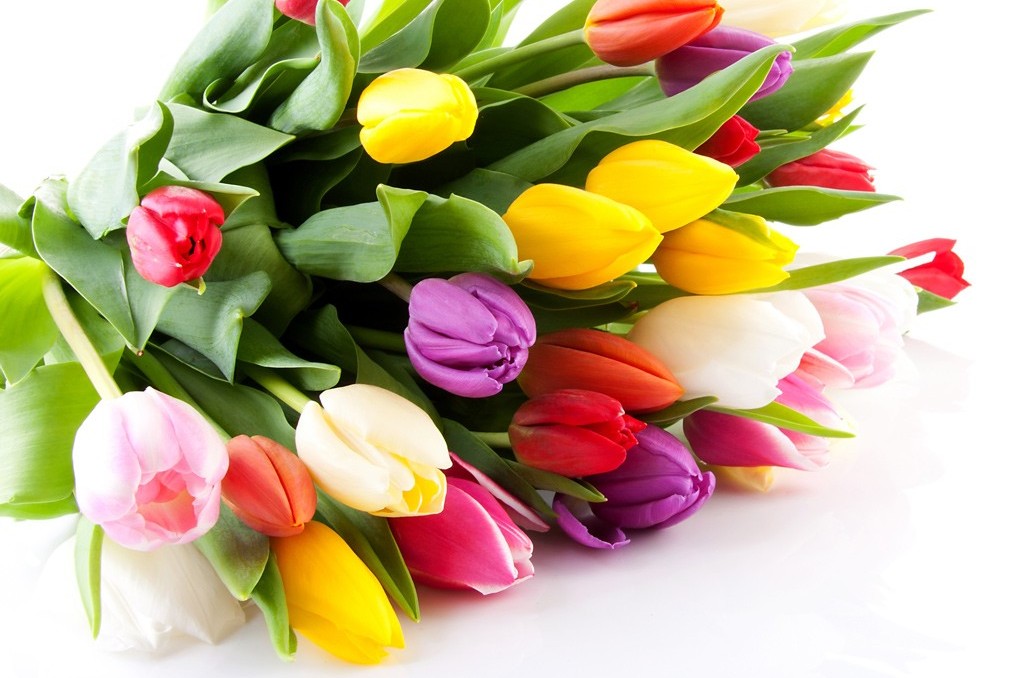 Воробьева Екатерина Федоровна